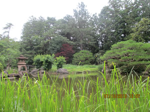Japanese Garden 1